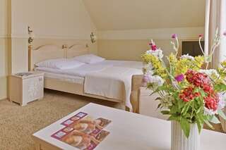 Отель Afrodyta SPA & Wellness Resort Осьно-Любуске Двухместный номер «Комфорт» с 1 кроватью-2