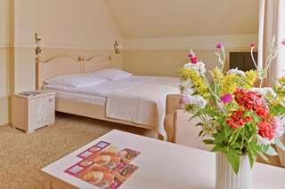 Отель Afrodyta SPA & Wellness Resort Осьно-Любуске Двухместный номер «Комфорт» с 1 кроватью-4